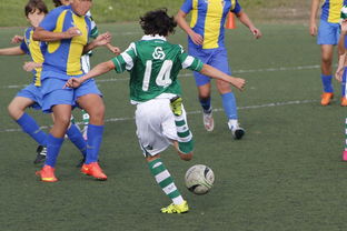 哈兰德巅峰对决，TheShy与60激战C9分钟，赛事规则更新胜负难料！